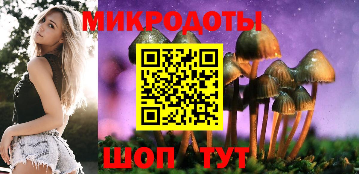 Галлюциногенные грибы ЛСД Губаха
